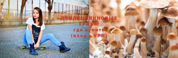 гидропоника Арсеньев