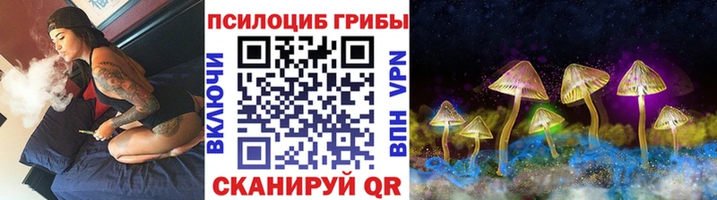 MEGA онион  Пролетарск  Галлюциногенные грибы мухоморы  сколько стоит 